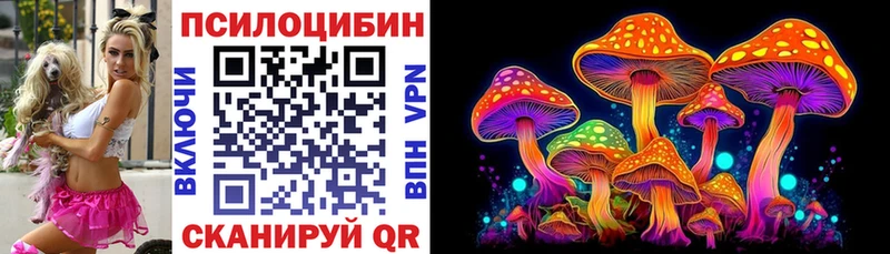 Псилоцибиновые грибы Psilocybe  Октябрьск 